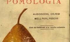 Manuale pomologia Hoepli - 1910