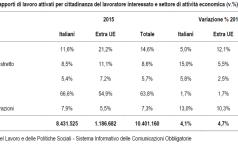 Rapporti di lavoro attivati per cittadinanza del lavoratore interessato e settore di attività economica (v.%)